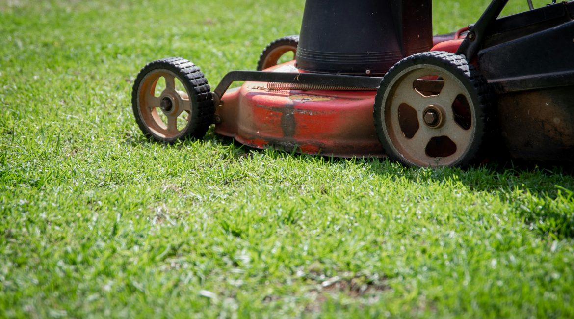 Sustainable Lawn Care Starts with the Clippings
